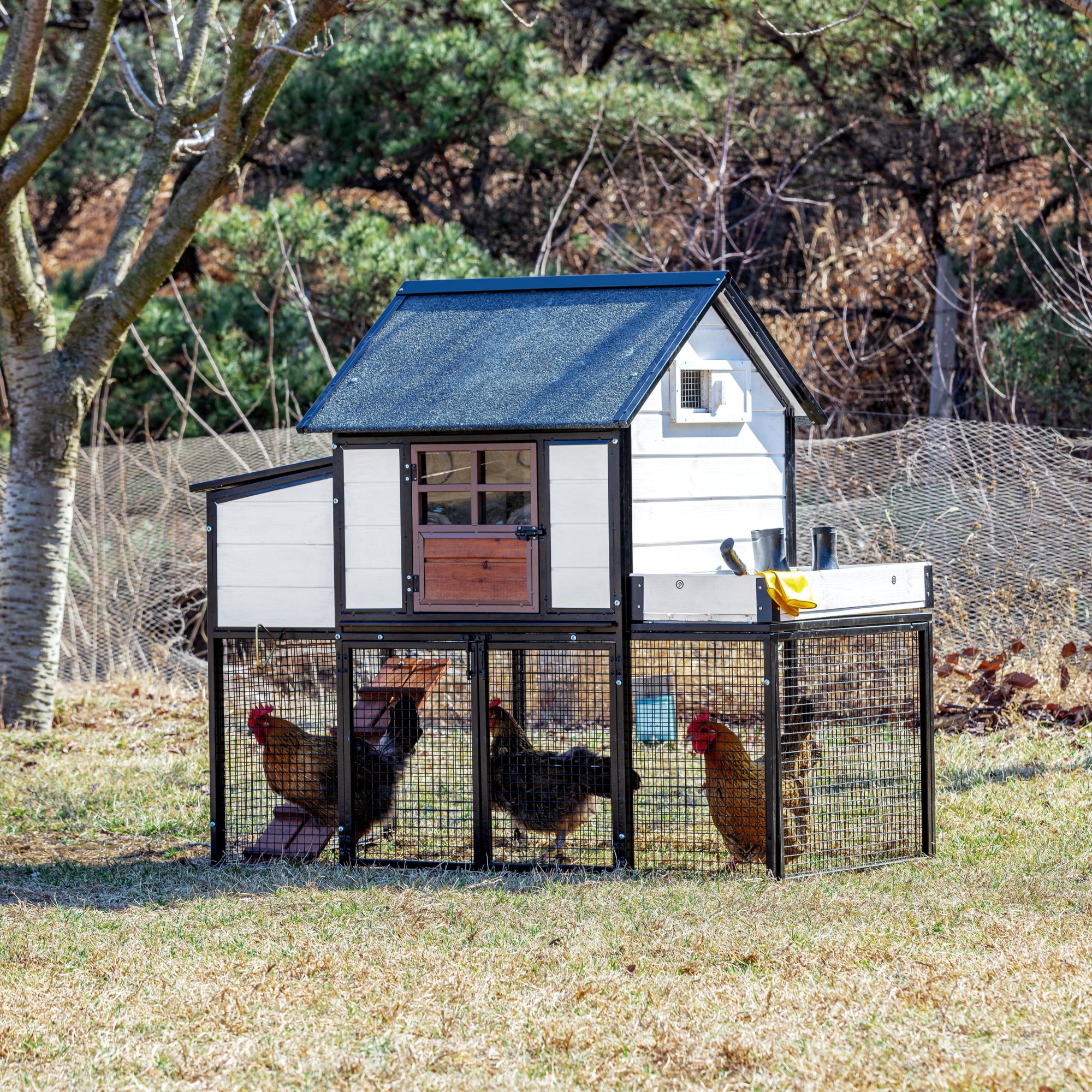 WinPet Blooming Chicken Coop White/Brown, Model # 21950WB